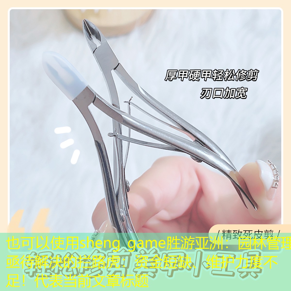 园林管理亟待解决的拦路虎：资金短缺、维护力度不足！