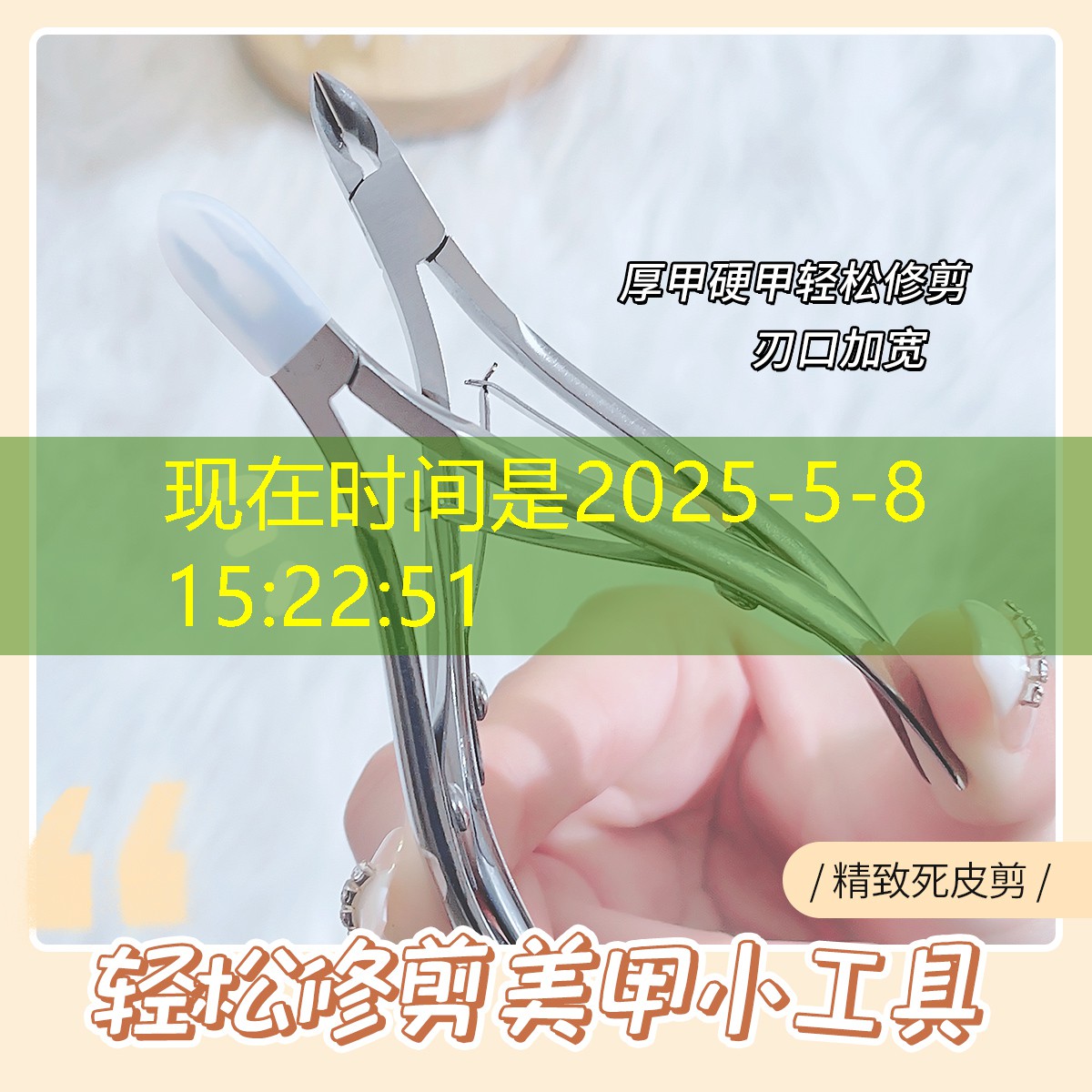 南京市绿化园林局 南京市绿化园林局